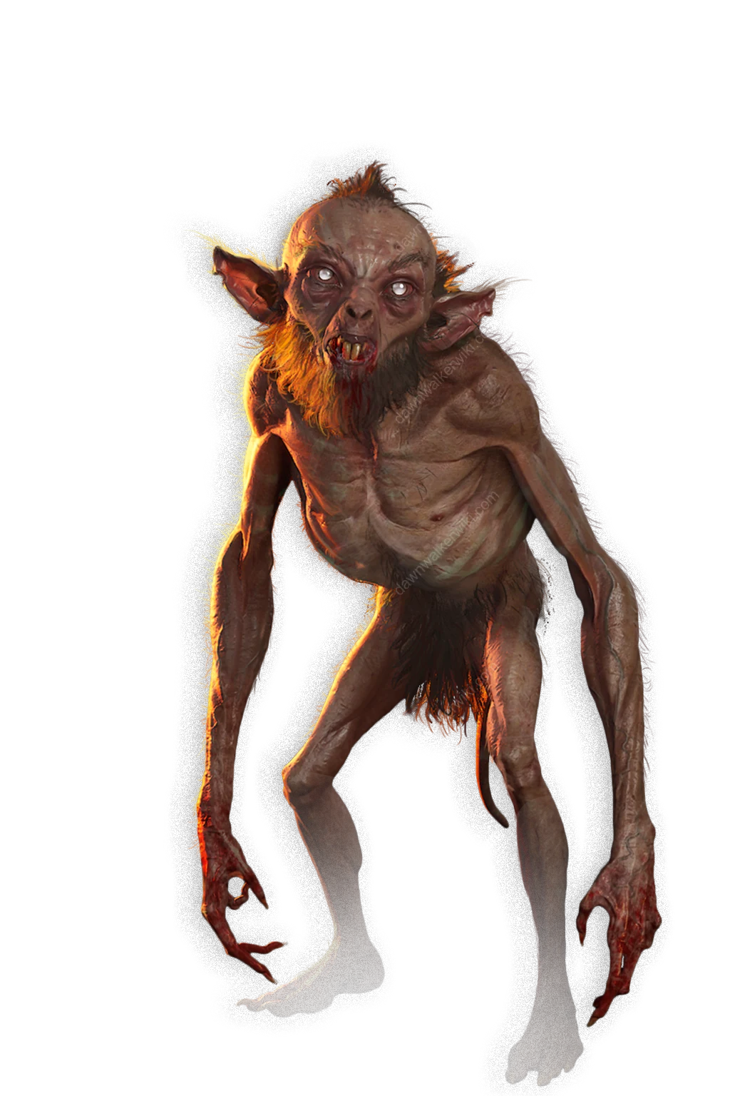 Kobold