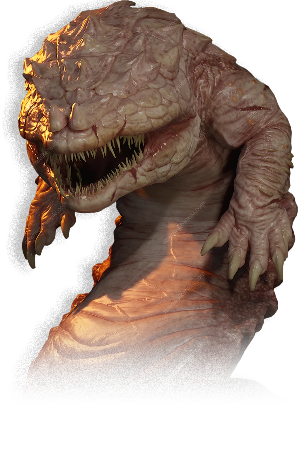 Salamander