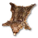 Bear Fur