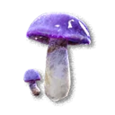 Cave Fungus
