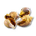 Fried Snails