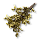 Herbs