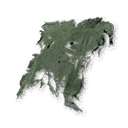 Large Lizard's Moult
