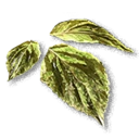 Poisonous Leaves