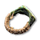 Remains of an Ancient Ring