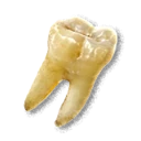 Shiny Tooth