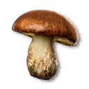 Slippery Jack