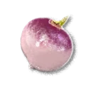 Turnip