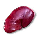 Wild Boar Kidney